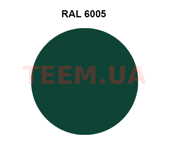 RAL6005 4x10