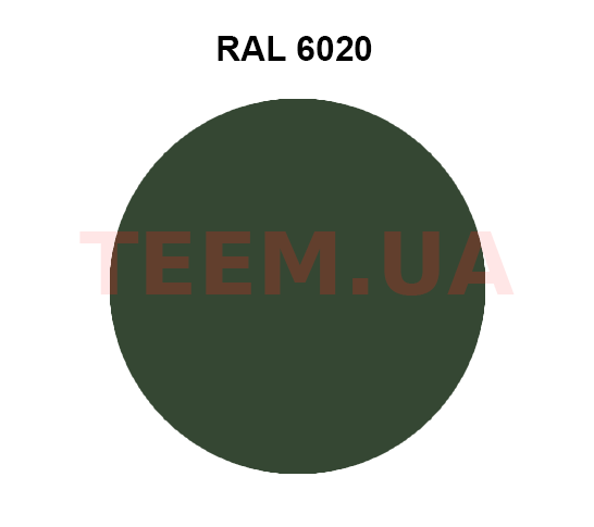 RAL6020 4x10